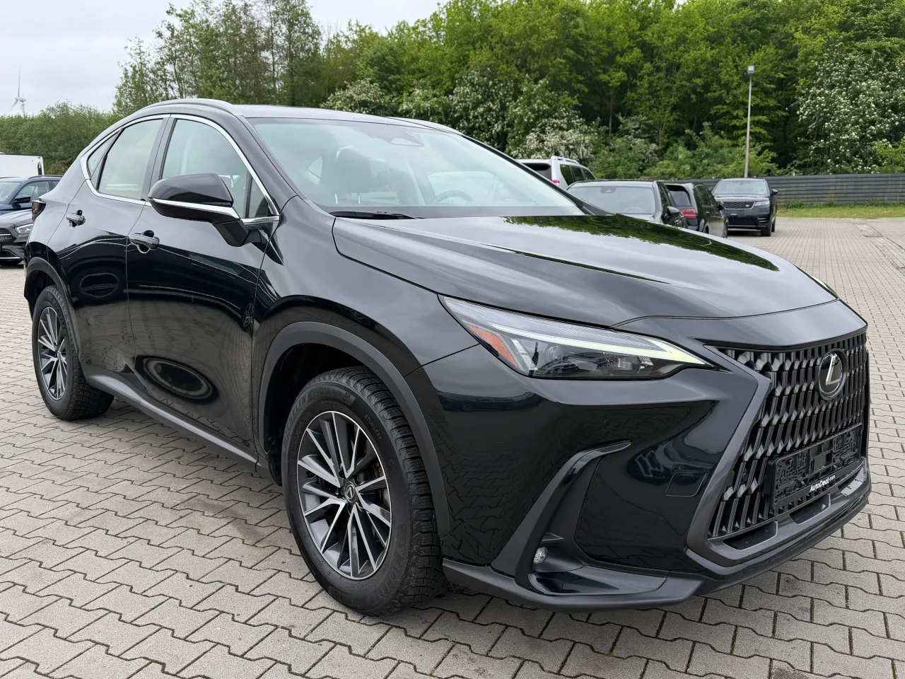 Lexus NX 350h Executive 2024 — 1